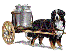 bernermilchwagen